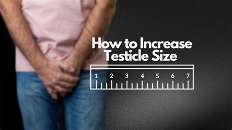 massive balls|The Facts About Your Testicles: Size, Pain, Semen Production.